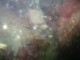 Thumbs/tn_OW102206 055.jpg